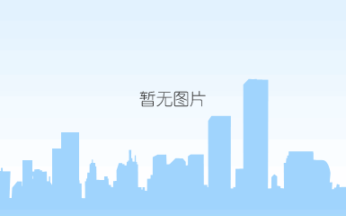 芝奇/g.skill
